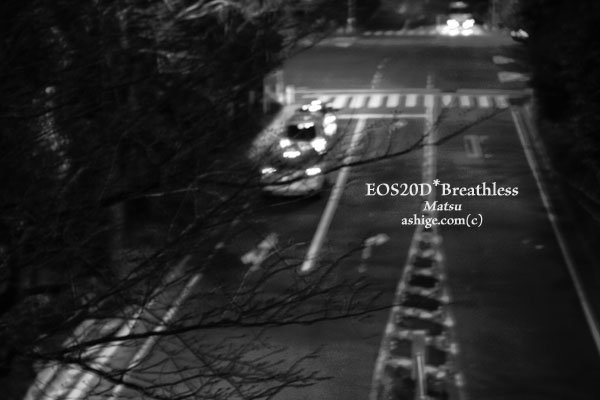 2013 EOS20D*Breathless