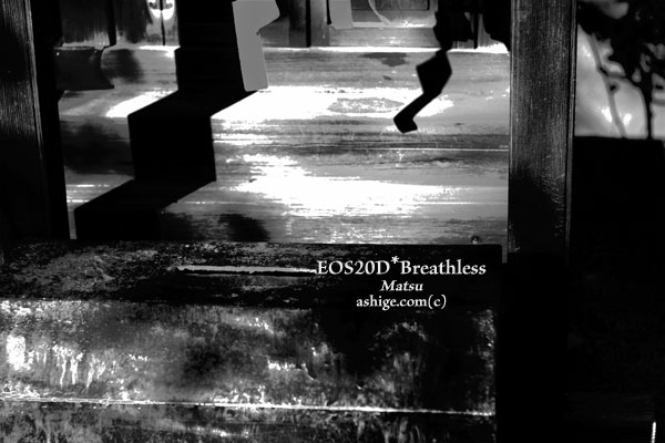 2013 EOS20D*Breathless