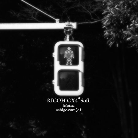 RICOH cx4*Soft 2014