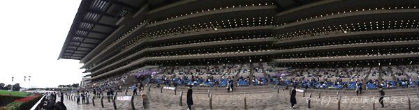 2015 東京競馬場